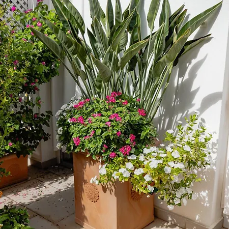 Vendégház Janna 'e Mare