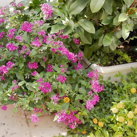 Penzion Janna 'e Mare